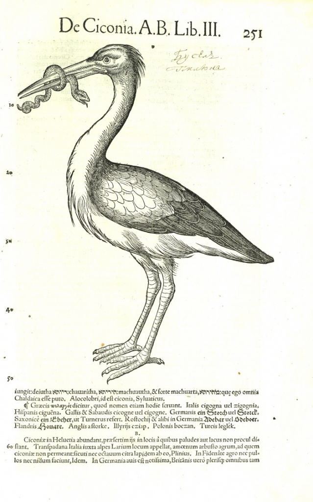 qMUhI7W6Wrk.jpg qMUhI7W6Wrk.jpg