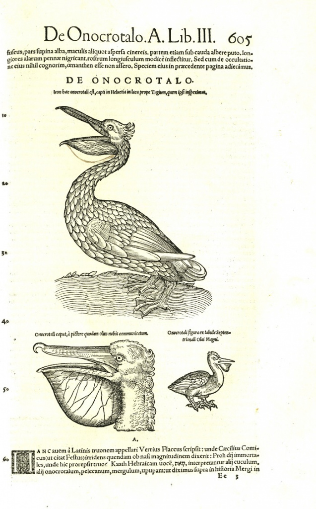 R537gV-wdEQ.jpg R537gV-wdEQ.jpg