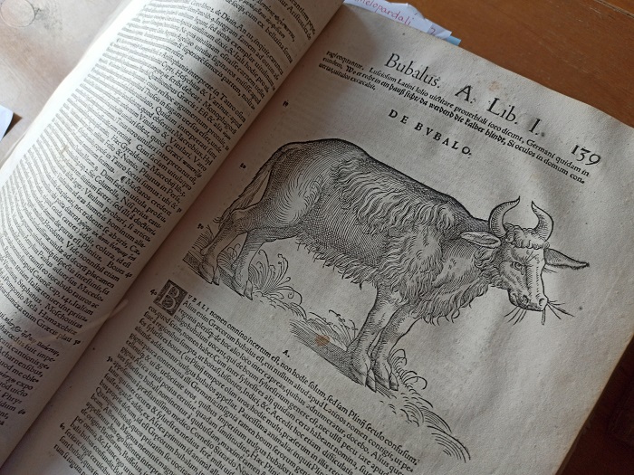 IMG_20200203_141355.jpg IMG_20200203_141355.jpg