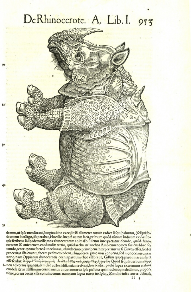 utZAWPxIgNI.jpg utZAWPxIgNI.jpg