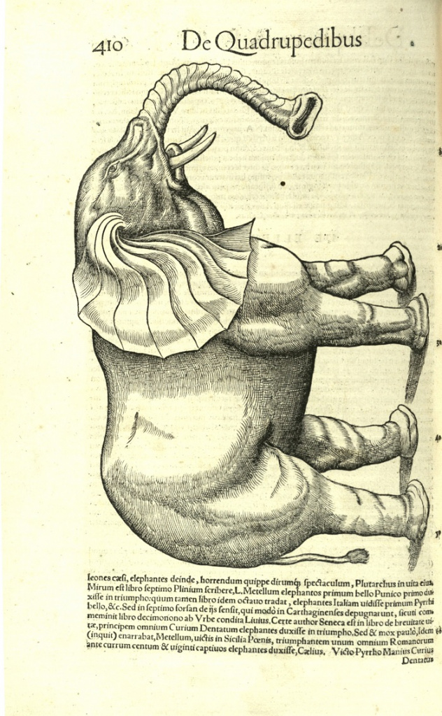 zKeZy8sJoxs.jpg zKeZy8sJoxs.jpg