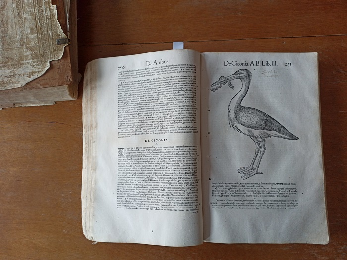 IMG_20200203_141539.jpg IMG_20200203_141539.jpg